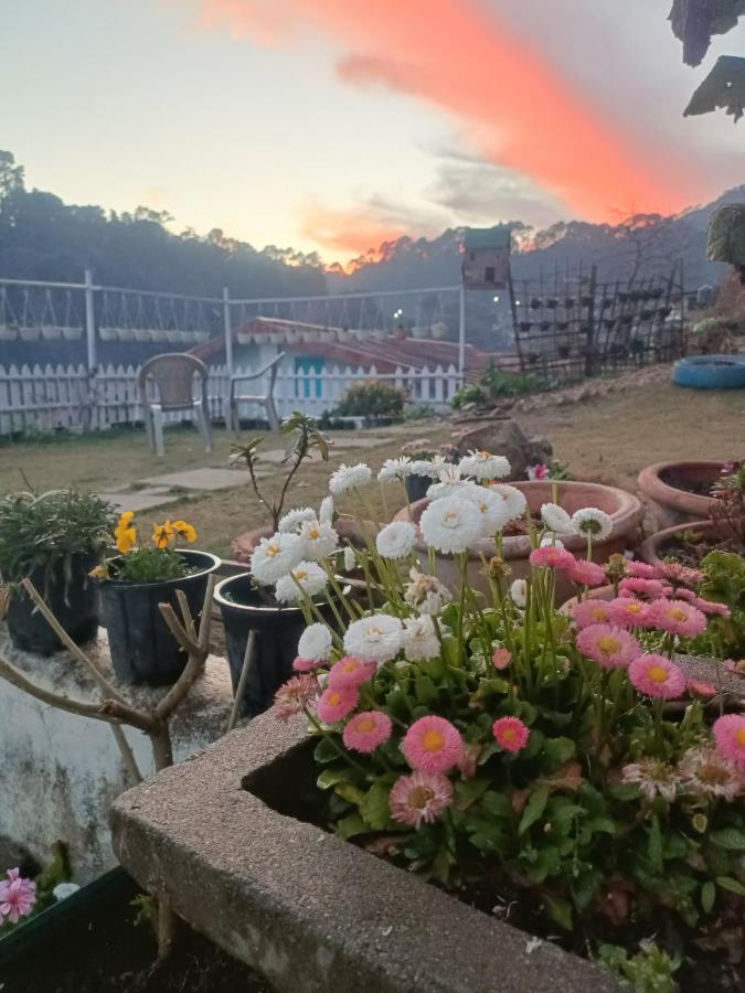 Mohraj Home Stay Bhowali Eksteriør billede