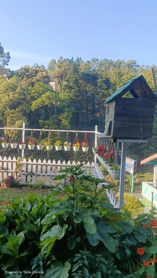 Mohraj Home Stay Bhowali Eksteriør billede