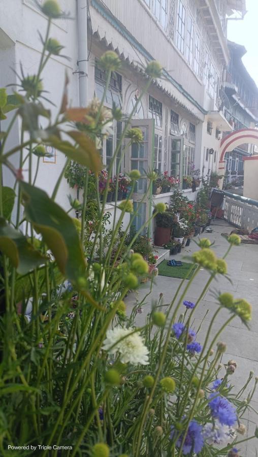 Mohraj Home Stay Bhowali Eksteriør billede