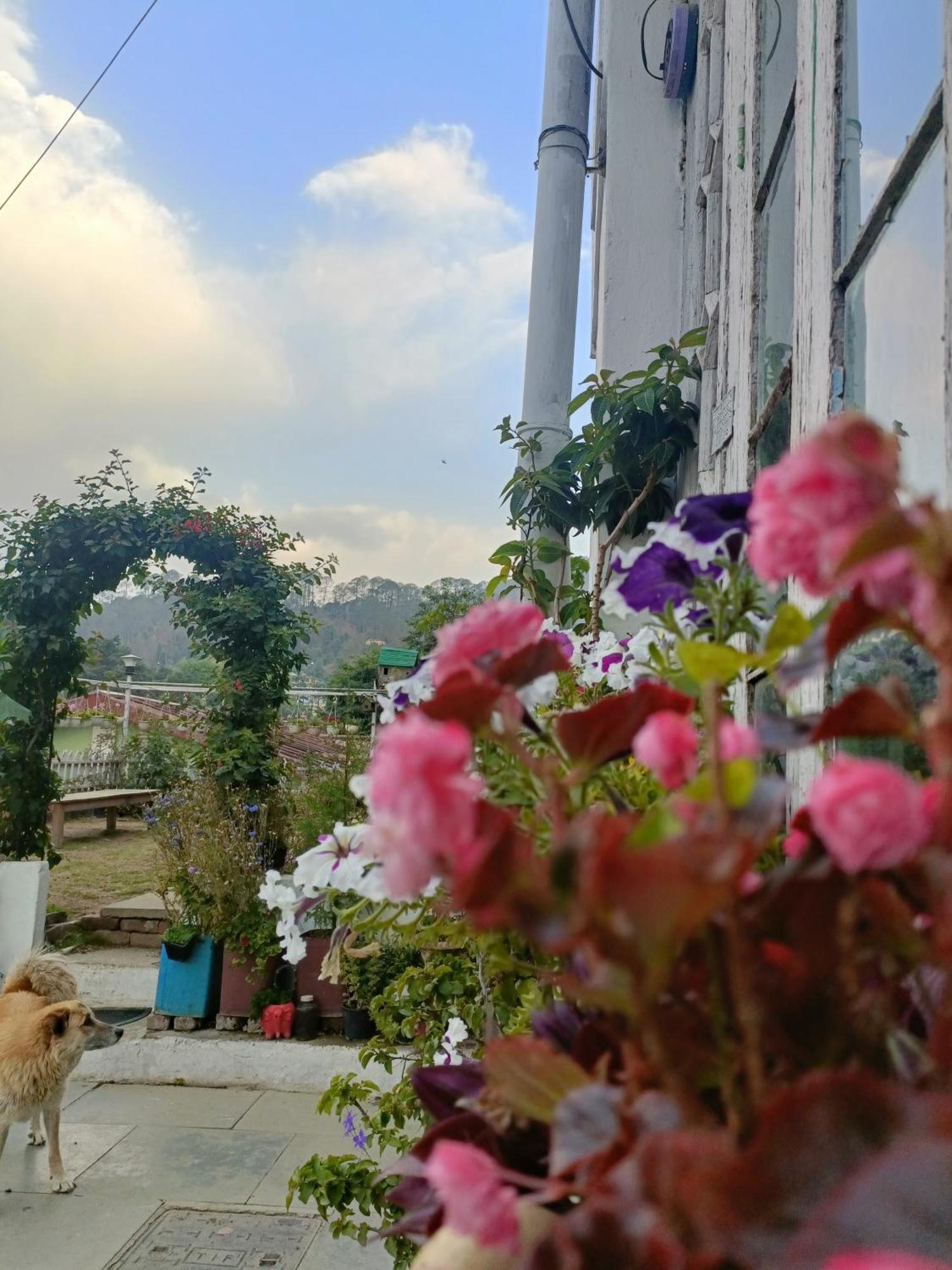 Mohraj Home Stay Bhowali Eksteriør billede